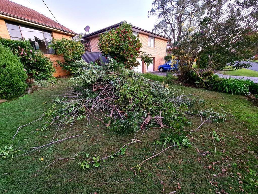 Top Green Waste Removal