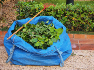 Top Green Waste Removal